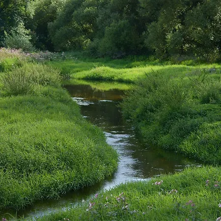 Hotel Am Regenbogen Cham