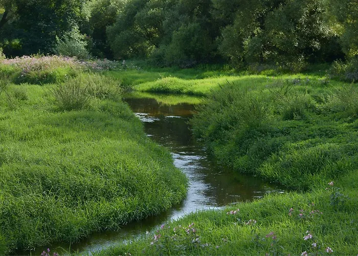 Hotel Am Regenbogen Cham